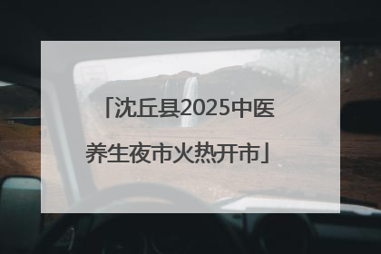 沈丘县2025中医养生夜市火热开市