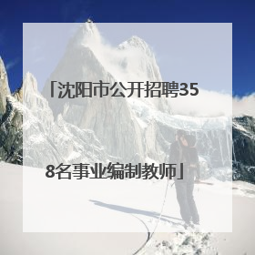 沈阳市公开招聘358名事业编制教师