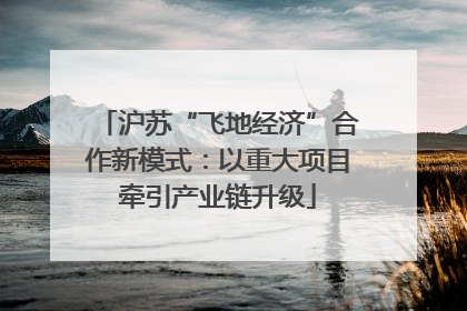 沪苏“飞地经济”合作新模式：以重大项目牵引产业链升级