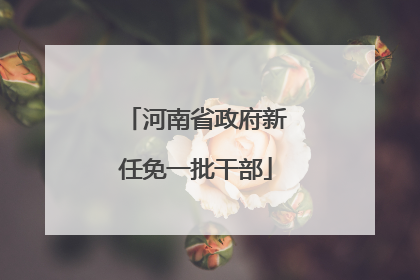 河南省政府新任免一批干部