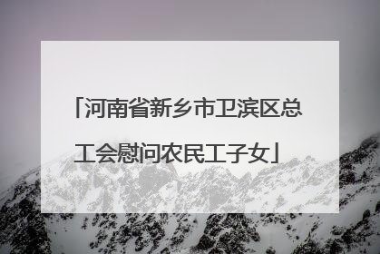 河南省新乡市卫滨区总工会慰问农民工子女