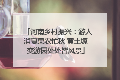 河南乡村振兴：游人消夏果农忙秋 黄土塬变游园处处皆风景