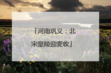 河南巩义：北宋皇陵迎麦收