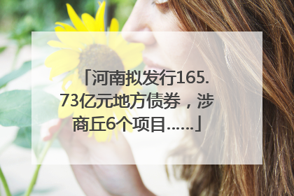 河南拟发行165.73亿元地方债券，涉商丘6个项目……
