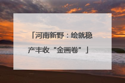 河南新野：绘就稳产丰收“金画卷”