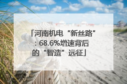 河南机电“新丝路”：68.6%增速背后的“智造”远征