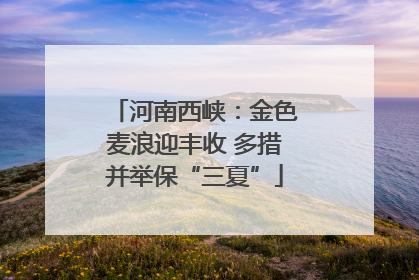 河南西峡：金色麦浪迎丰收 多措并举保“三夏”