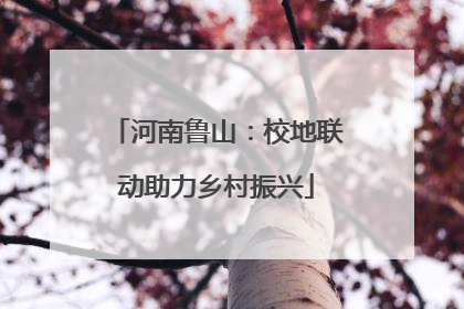 河南鲁山：校地联动助力乡村振兴