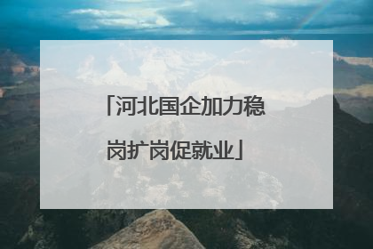 河北国企加力稳岗扩岗促就业