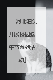 河北泊头开展校园端午节系列活动