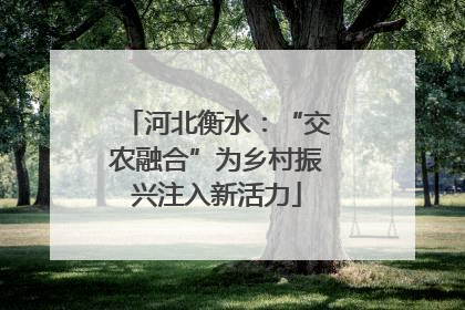 河北衡水：“交农融合”为乡村振兴注入新活力