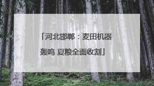河北邯郸：麦田机器轰鸣 夏粮全面收割