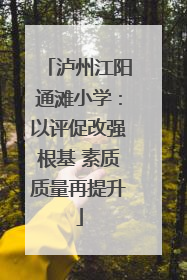 泸州江阳通滩小学：以评促改强根基 素质质量再提升