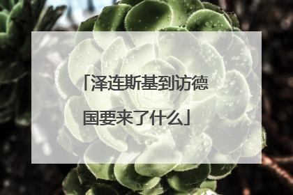 泽连斯基到访德国要来了什么
