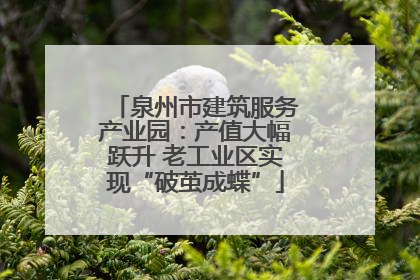 泉州市建筑服务产业园：产值大幅跃升 老工业区实现“破茧成蝶”