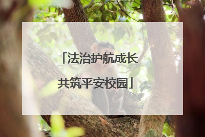 法治护航成长 共筑平安校园