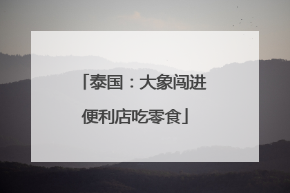 泰国：大象闯进便利店吃零食