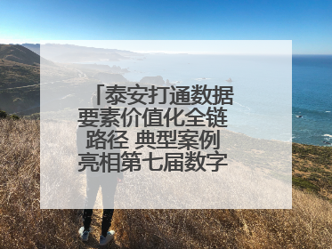 泰安打通数据要素价值化全链路径 典型案例亮相第七届数字中国建设峰会