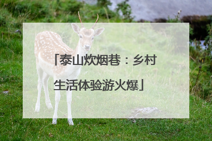 泰山炊烟巷：乡村生活体验游火爆