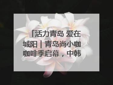 活力青岛 爱在城阳｜青岛尚小咖咖啡季启幕，中韩消费新场景点燃夏日热情
