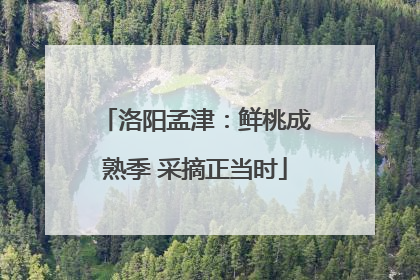 洛阳孟津：鲜桃成熟季 采摘正当时