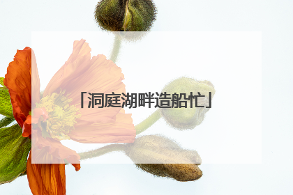 洞庭湖畔造船忙
