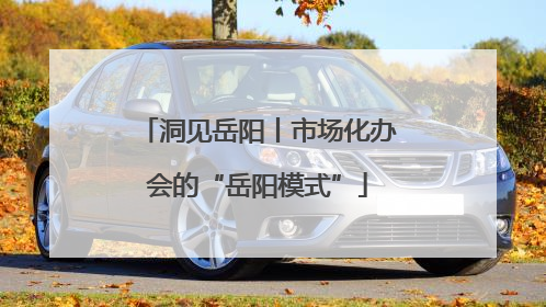 洞见岳阳丨市场化办会的“岳阳模式”