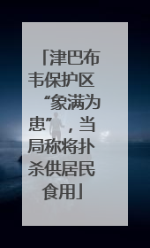 津巴布韦保护区“象满为患”，当局称将扑杀供居民食用