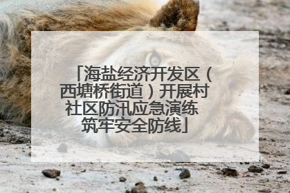 海盐经济开发区（西塘桥街道）开展村社区防汛应急演练 筑牢安全防线