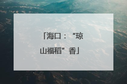 海口：“琼山福稻”香