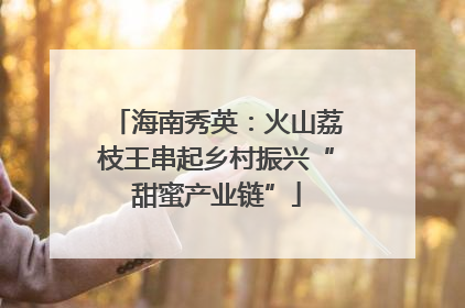海南秀英：火山荔枝王串起乡村振兴“甜蜜产业链”