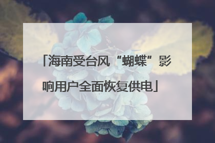 海南受台风“蝴蝶”影响用户全面恢复供电