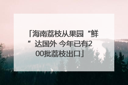 海南荔枝从果园“鲜”达国外 今年已有200批荔枝出口