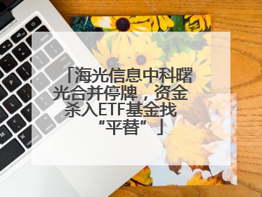 海光信息中科曙光合并停牌，资金杀入ETF基金找“平替”