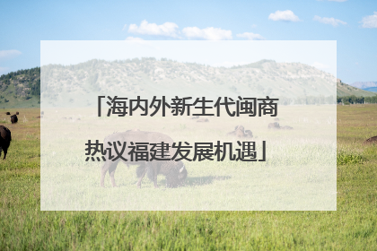 海内外新生代闽商热议福建发展机遇