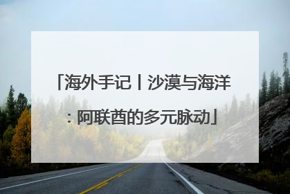 海外手记丨沙漠与海洋：阿联酋的多元脉动
