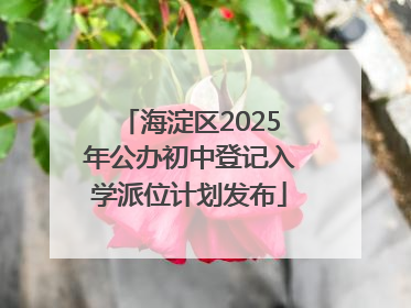 海淀区2025年公办初中登记入学派位计划发布