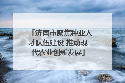 济南市聚焦种业人才队伍建设 推动现代农业创新发展