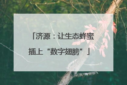 济源：让生态蜂蜜插上“数字翅膀”