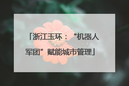 浙江玉环：“机器人军团”赋能城市管理