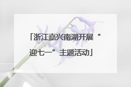 浙江嘉兴南湖开展“迎七一”主题活动