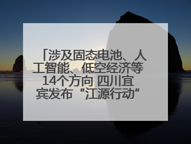 涉及固态电池、人工智能、低空经济等14个方向 四川宜宾发布“江源行动”第二批榜单