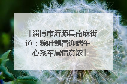 淄博市沂源县南麻街道：粽叶飘香迎端午 心系军属情意浓