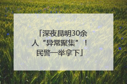 深夜昆明30余人“异常聚集”！民警一举拿下