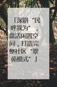 深耕“民呼我为”，盘活闲置空间，打造完整社区“翠苑模式”