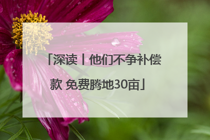 深读丨他们不争补偿款 免费腾地30亩