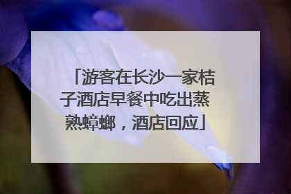 游客在长沙一家桔子酒店早餐中吃出蒸熟蟑螂，酒店回应
