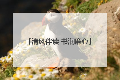 清风伴读 书润廉心