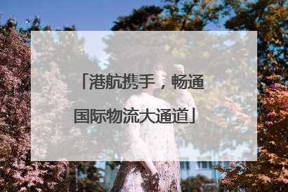 港航携手，畅通国际物流大通道