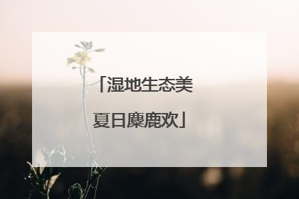 湿地生态美 夏日麋鹿欢